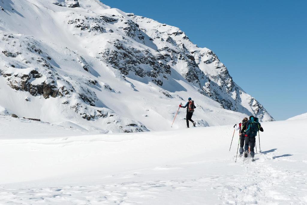 Vedig 4* Santa Caterina Valfurva